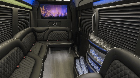 salt lake city 14 passenger sprinter limousine interior